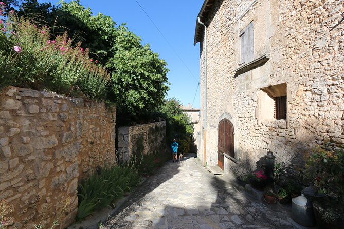 Avignon Palace of the Popes, Food Market & Isle Sur La Sorgue - Antique Shopping in Isle Sur La Sorgue