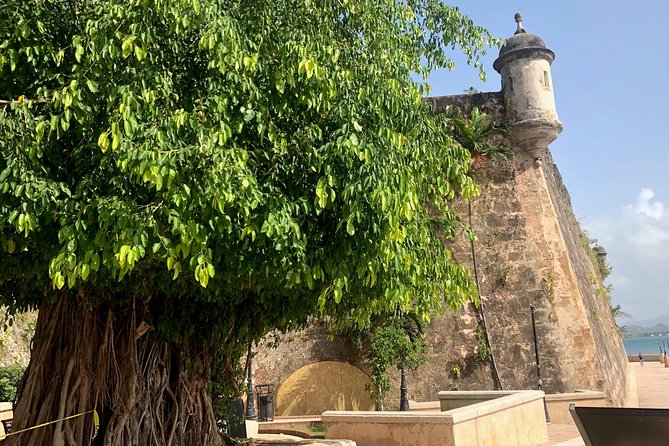 Bacardi Rum Distillery and Old San Juan Tour - Group Size and Age Requirement