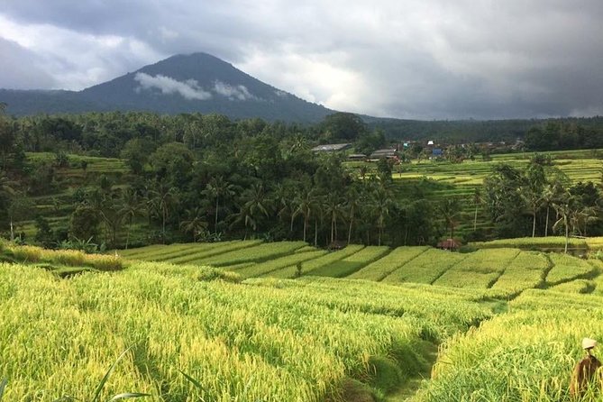 Bali Highlight Tours - Customer Reviews and Ratings