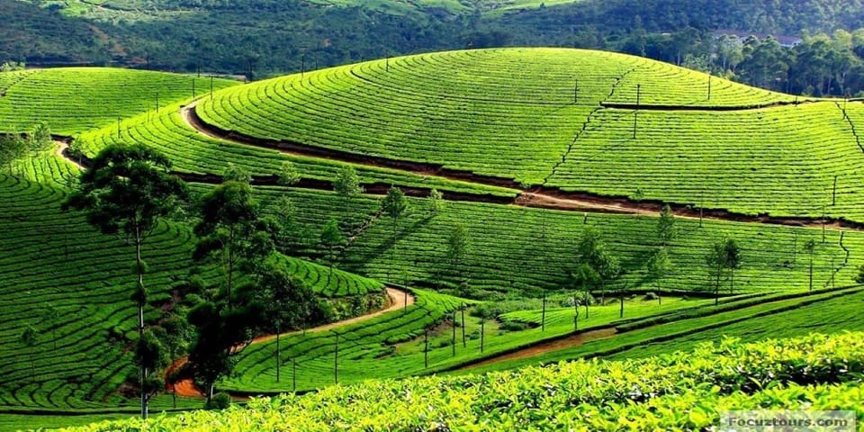 Bangalore, Mysore With Ooty Tour (05 Nights / 06 Days) - Important Information