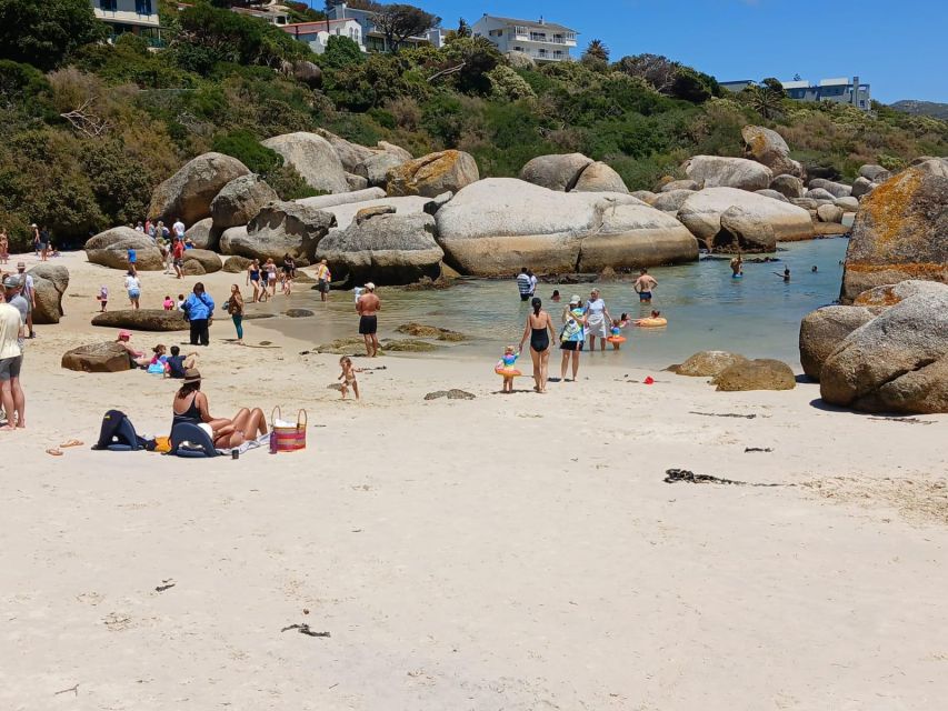 Beach Day at Boulders Beach & Penguin Watching, Half Day - Scenic Viewpoints and Stops