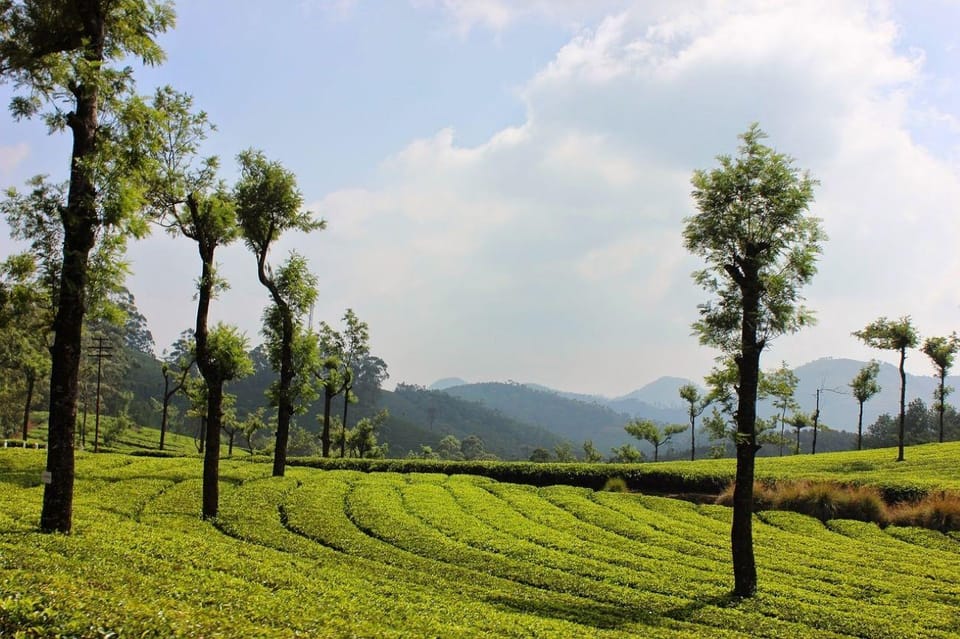 Beauty of Nature, Munnar Hill Station Tour (03 Days) - Important Information