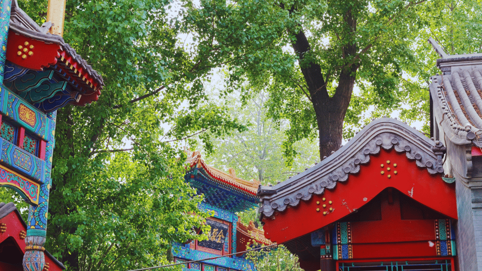 Beijing: Specialty Hutong Walk & the Imperial College Tour - Guided Experience