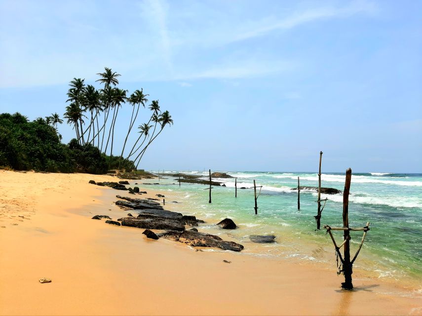 Bentota Beach, River Mangroves Lagoon, Wildlife Tour - Cancellation Policy