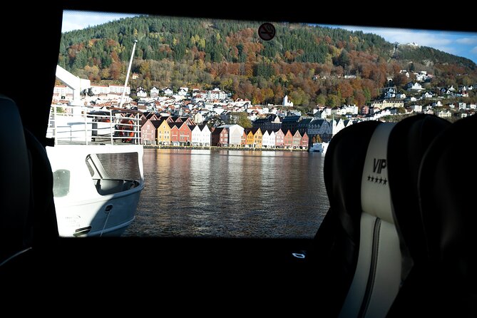 Bergen: Guided Tour by Minibus With Local Guide & Photostops - Capturing Picturesque Moments