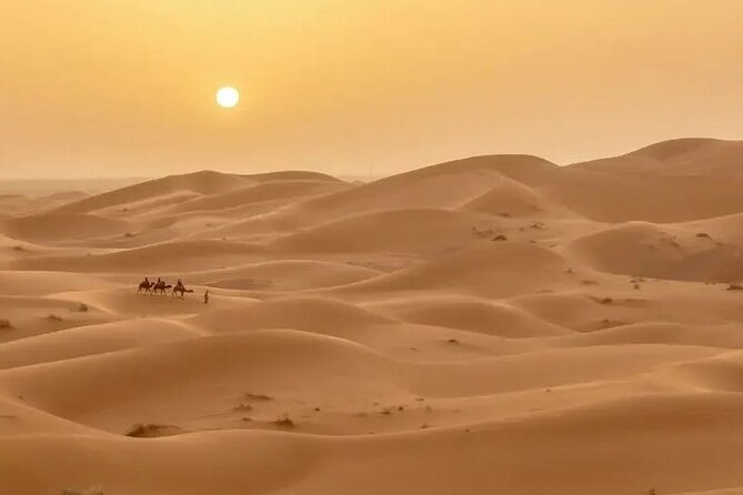 Best 3 Days Desert Tour From Fes to Marrakech - Reviews and Ratings