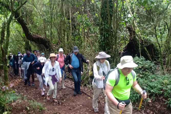 Best Kilimanjaro Adventures 6 Days Marangu Route Experience - Customer Reviews and Ratings