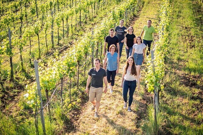 Best of Tuscany: Full Day Private Tour to Val DOrcia - Pricing and Booking Information
