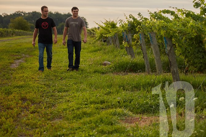 Between The Lines Classic Wine Tasting - Customer Feedback Highlights