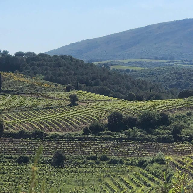 Béziers: Explore the Faugères Vineyards With a Picnic - Faugères Mill Exploration