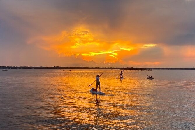 Bioluminescence Clear Kayak or Paddleboard Tour Near Orlando - Capturing the Bioluminescence