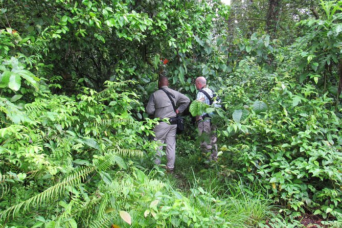 Birding Metropolitan Natural Park - Booking and Policies