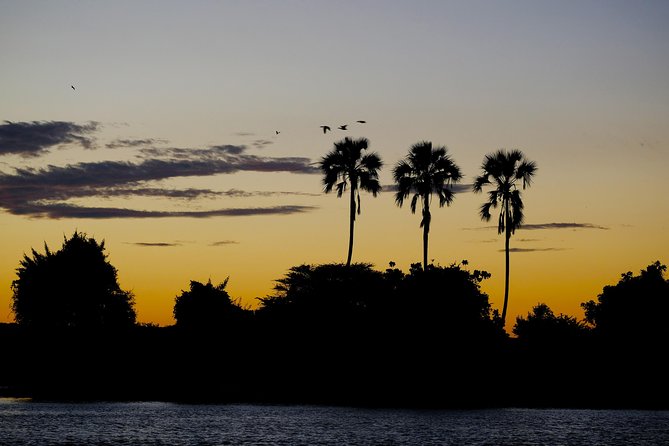 Birdwatching Cruise in Zambezi River With Breakfast - Personalized Attention From Guides