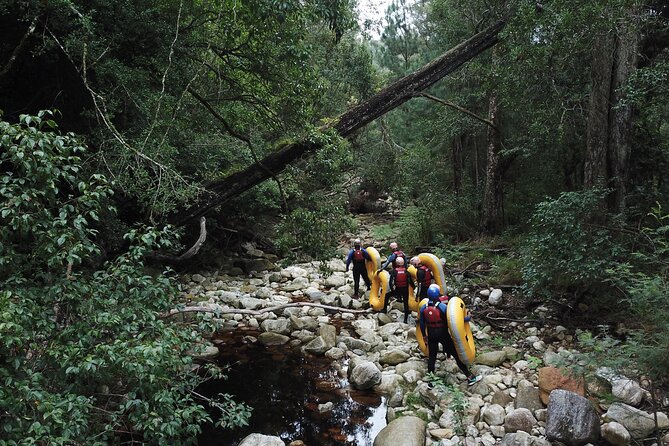 Blackwater Tubing Green Route Forest Adventure - Meeting Information