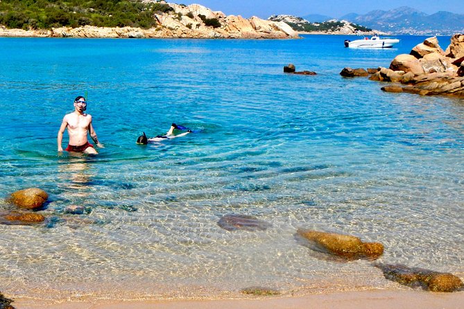 Boat Dolphins Safari and Snorkeling - Island and Beach Exploration