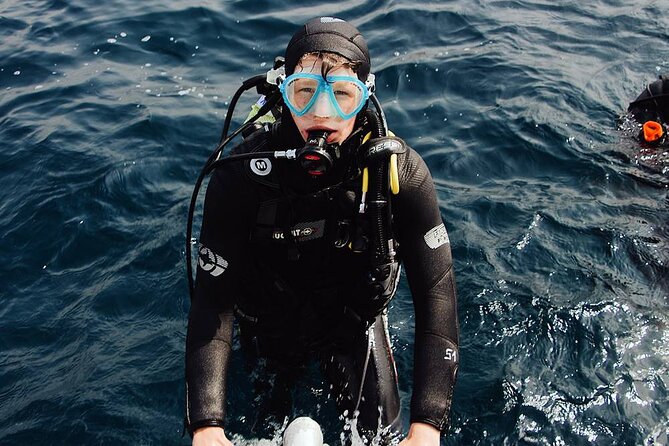 Bodrum Scuba Diving Tour With Free Hotel Transfer By Locals - Experienced Dive Guides