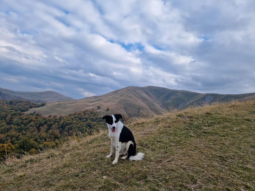 Brasov'S Mountain'S E-Mtb Tour With Daisy - Booking Details