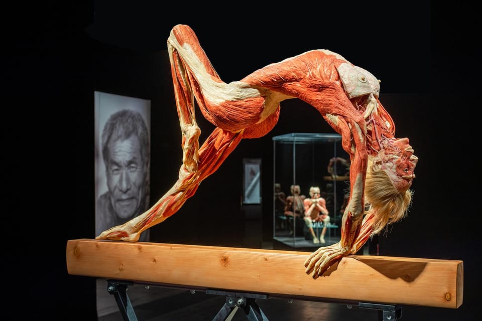 Bruges: Ticket to the Body Worlds Expo at the Oud Sint-Jan Site - Frequently Asked Questions