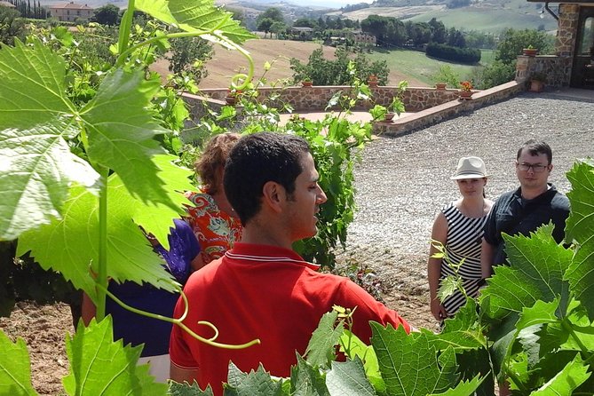 Brunello Vineyards Bus Tour - Key Tour Inclusions