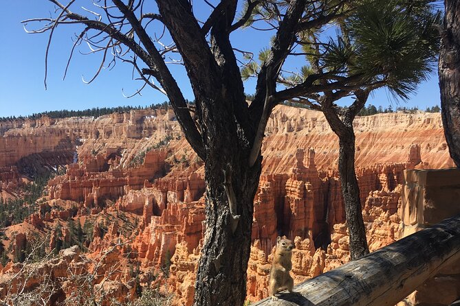 Bryce Canyon E-bike Tour - E-bike Advantages