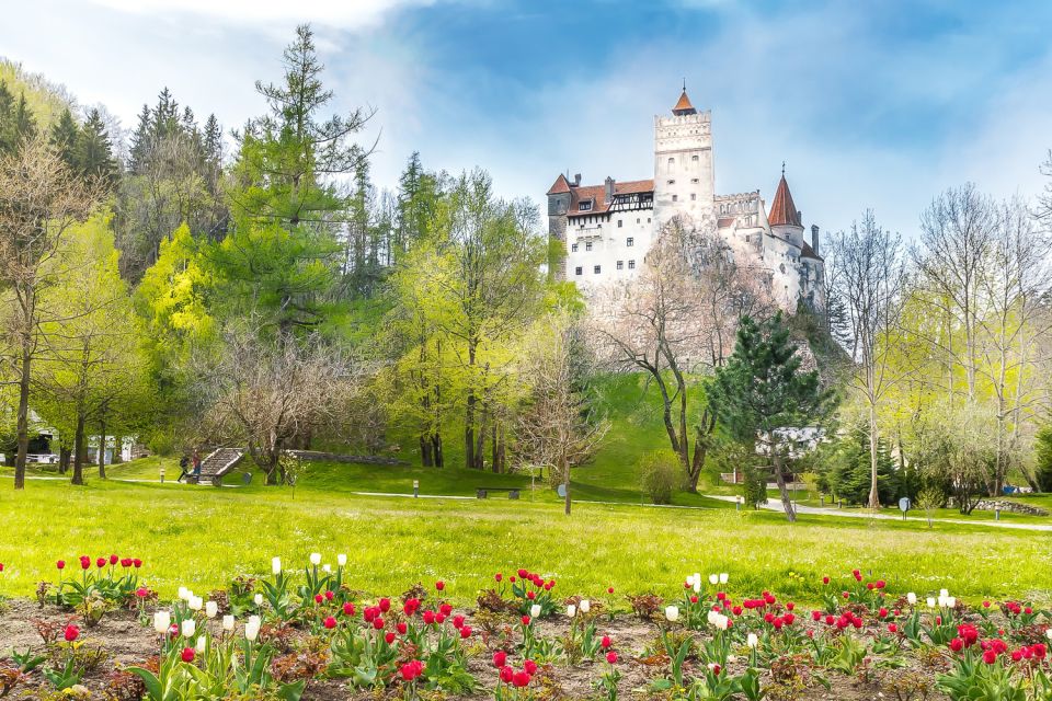 Bucharest: Day Trip to Dracula Castle, Peles Castle & Brașov - Best Time to Visit