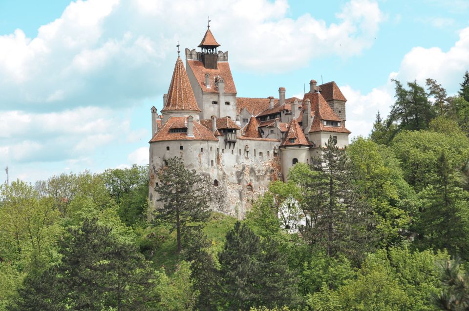 Bucharest: Draculas Castle, Peles Castle, & Brasov Old Town - Customer Reviews and Feedback