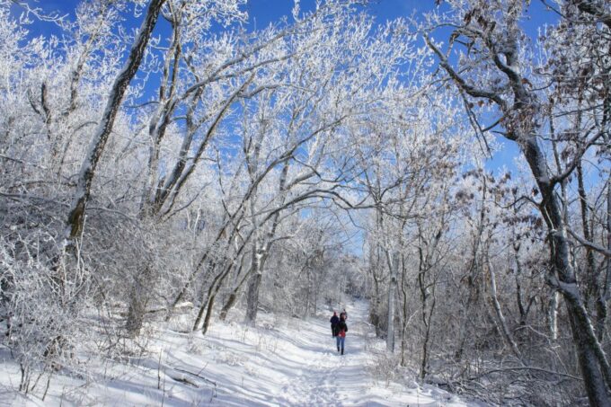 Budapest: Buda Hills Guided Hiking Tour With Optional Lunch - What to Bring