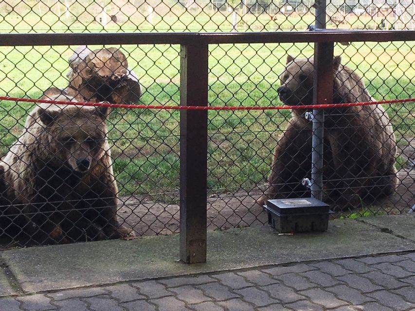 Budapest: Transport & Guided Tour of Bear and Wolf Sanctuary - Customer Reviews