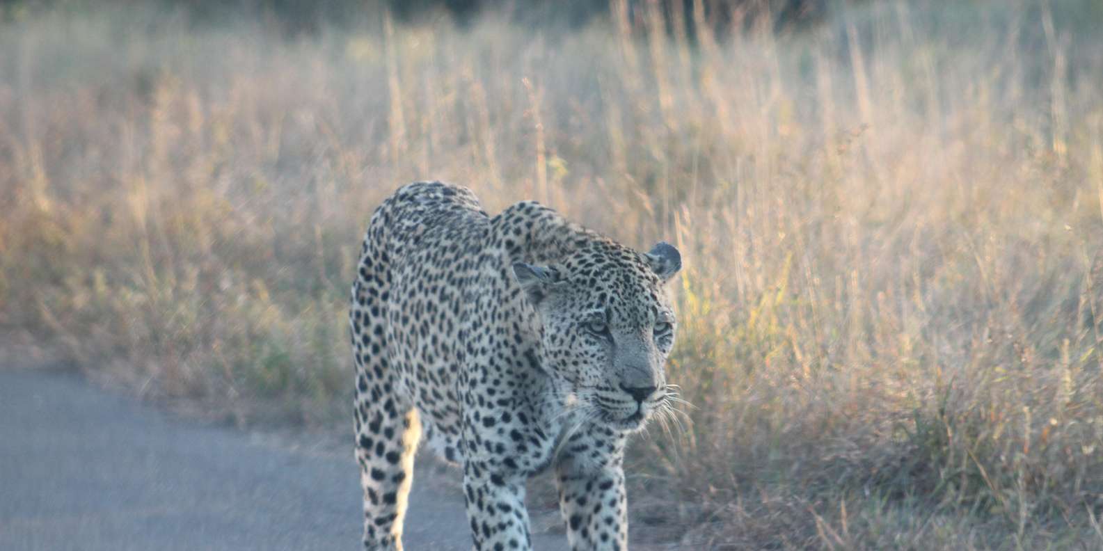 Budget 5 Day All Inclusive Kruger & Panorama Tour From JHB - Booking and Cancellation