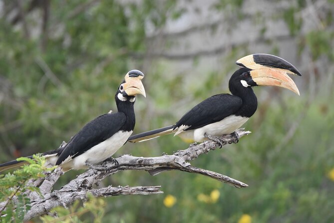 Bundala Birding Paradise - All Inclusive Tour - Customer Reviews and Feedback