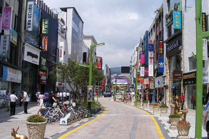 Busan Day Trip Including Gamcheon Culture Village From Seoul by KTX Train - Customer Experiences and Reviews