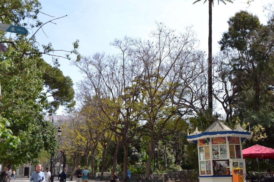 Cádiz: Walking Tour With Local Guide - Duration and Group Size