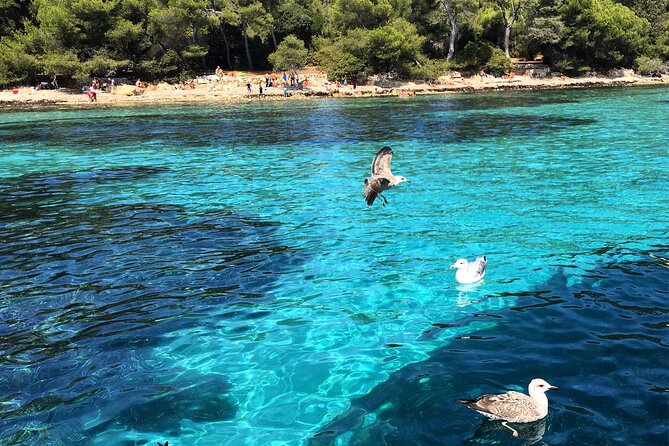 Cannes - Lerins Islands Private Boat Tour -Seabob Experience - Negative Feedback and Challenges