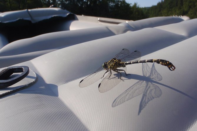 Canoeing/Kayaking on Kupa River, Croatia - Discovery Trip - Ideal for Families and Groups