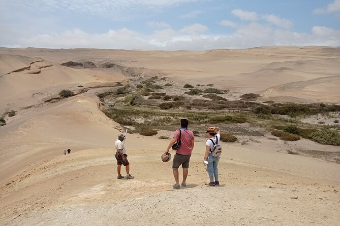 Canyon of the Lost Day Trip From Ica - Discovering Ancient Marine Fossils
