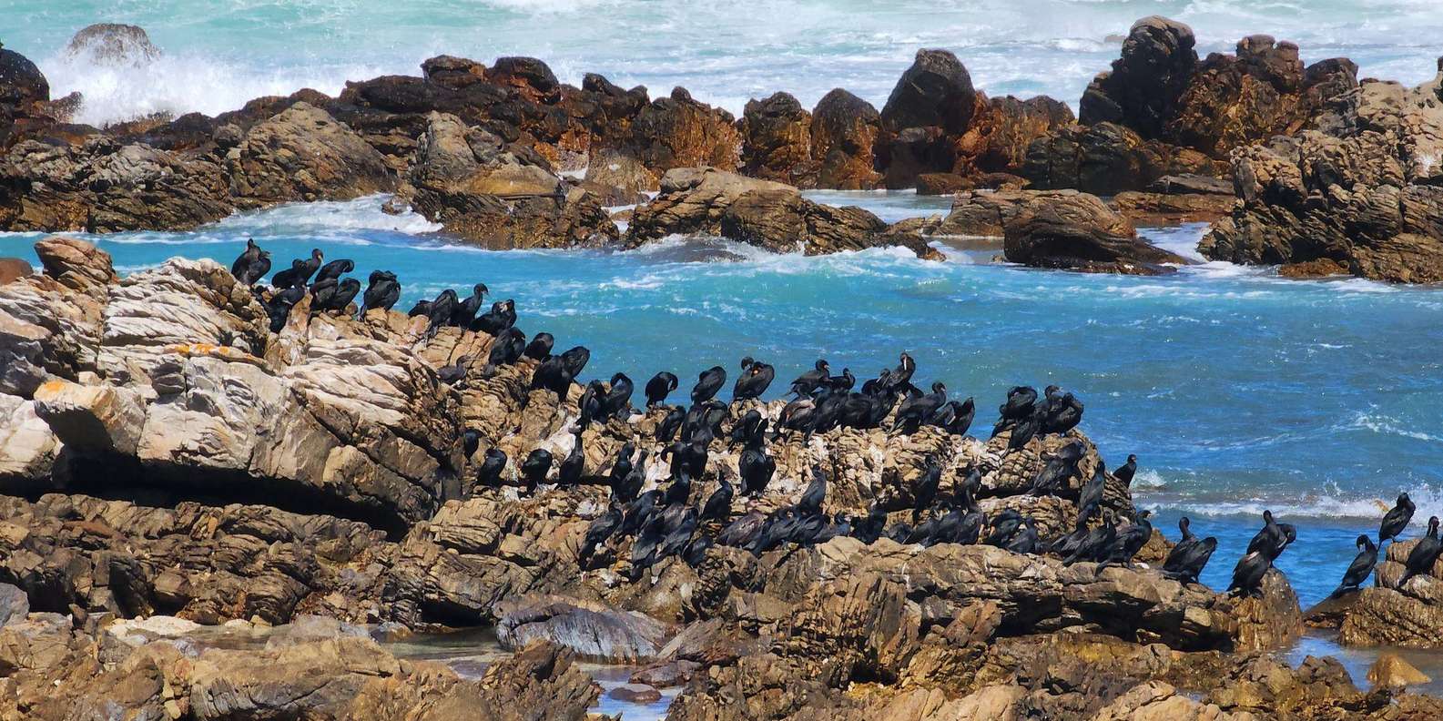 Cape Agulhas Tour: Private Day Trip! - Discover Coastal Towns and Landscapes