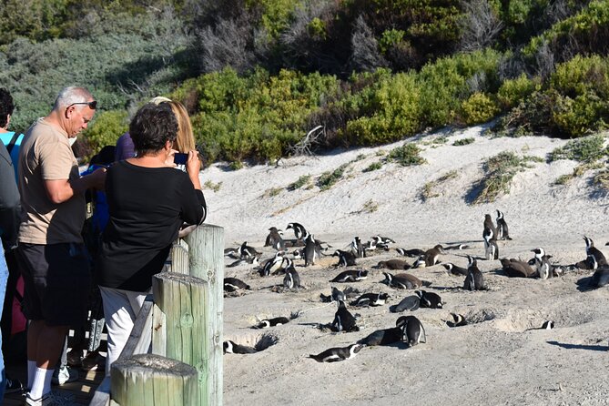 Cape of Good Hope and Penguins Full-Day Tour From Cape Town - Booking Information