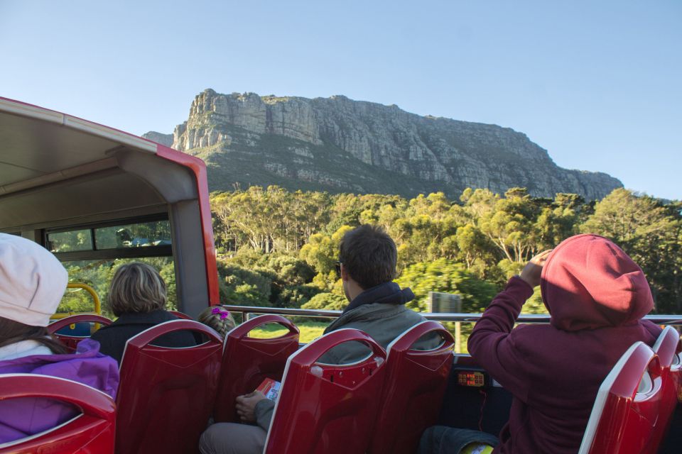 Cape Town: Hop-On Hop-Off Bus Tour With Optional Cruise - Customer Feedback and Ratings