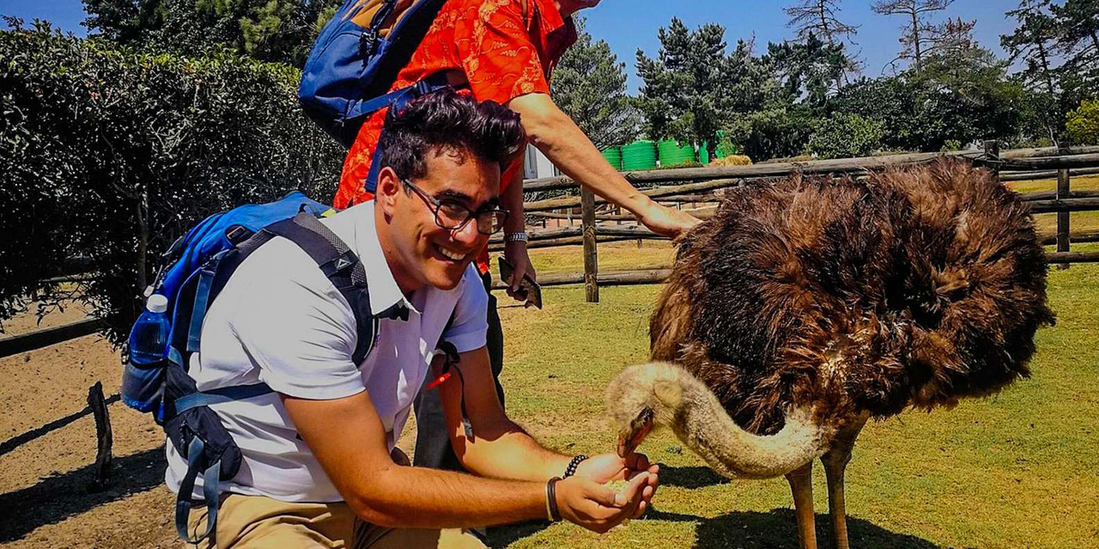 CAPE TOWN: OSTRICH RANCH QUAD BIKE RIDE & OSTRICH TOUR - Previous Travelers Feedback and Insights