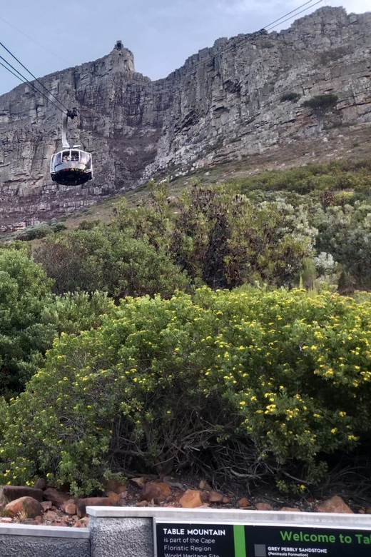 Cape Town Private Table Mountain & City Sightseeing Day Tour - Explore the Mother City