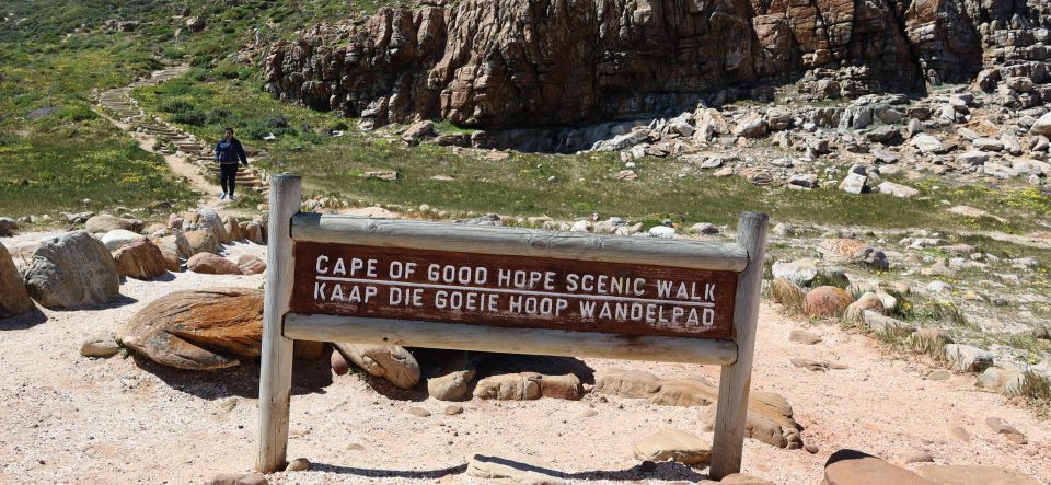 Cape Town: Table Mountain, Penguins & Cape Point Group Tour - Capturing Moments at Muizenberg Beach