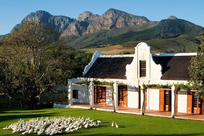 Cape Winelands Explore Full Day Tour With Private Transfer - Customer Reviews and Feedback