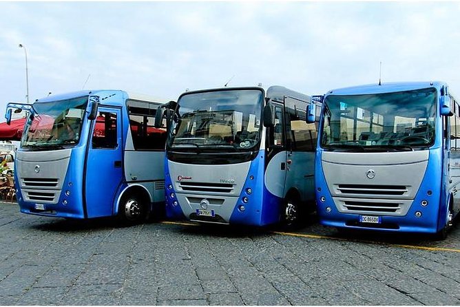 CAPRI - DIY Day Trip Package - BoatTour, BlueGrotto,Bus&Lunch - Exploring Capris Highlights