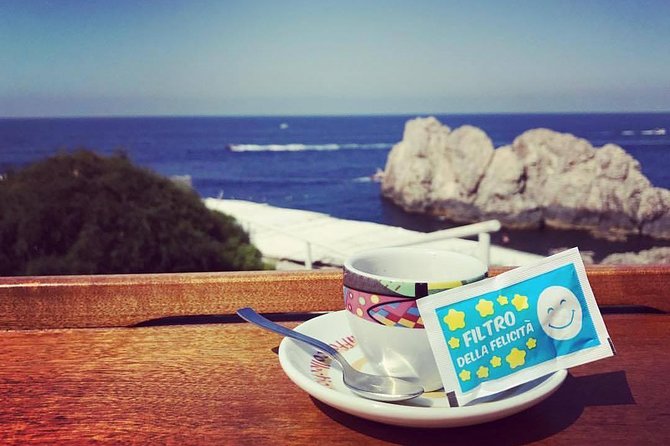Capri Island With a Local Expert Guide - Tailored Tours and Group Needs