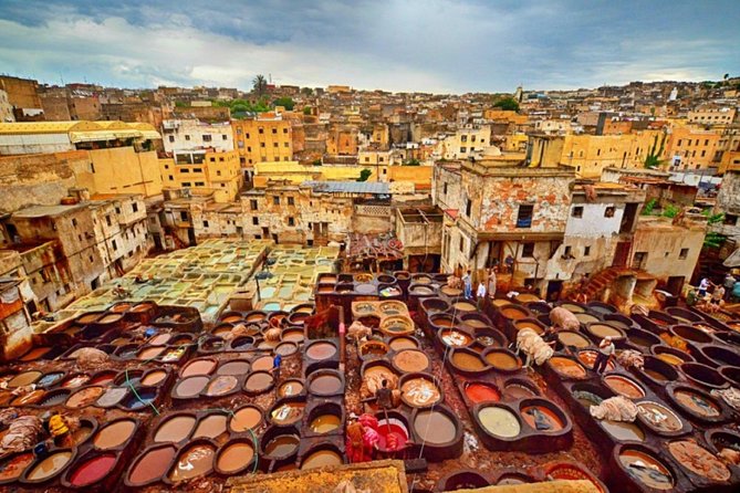 Casablanca to Fez - Private Transfer With a Full Tour of Fez - Customer Reviews