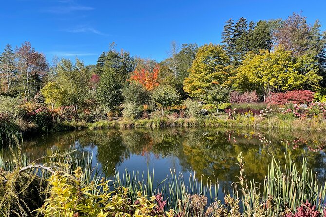 Central Coastal Maine Private Day Tour - Scenery and Photography Opportunities