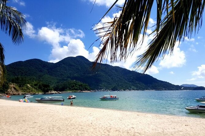 Cham Island Day Tour From Hoi an With Group Tour - Reviews and Feedback