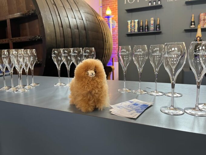 Champagne Private Day Trip: Epernay & Reims 9 Glasses - Accessibility and Amenities