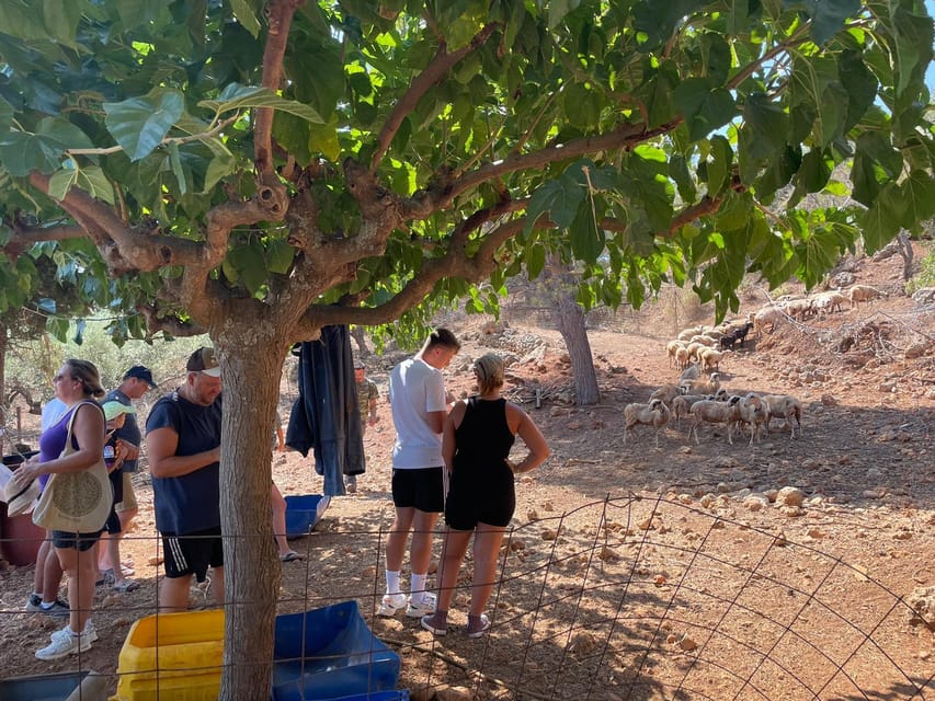 Chania Area: Cooking Class at a Farm in Stylos Village - Important Considerations