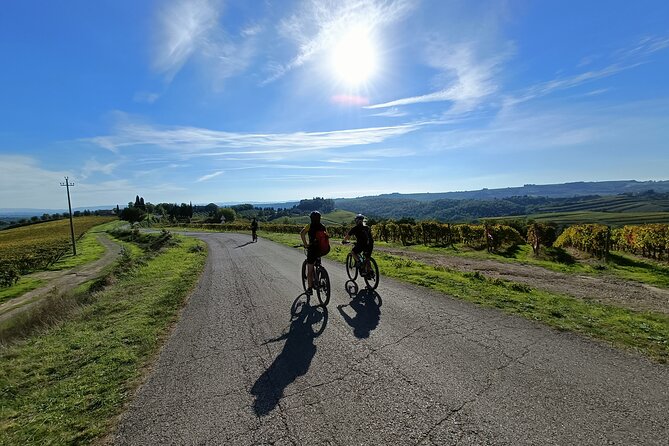 Chianti Classico E-Bike Tour - Winery Visit and Wine Tasting